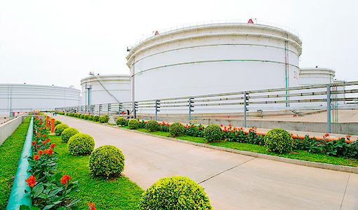 Shandong Feihe Group Co., Ltd.